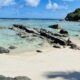 ABUNDANTLY (SEYCHELLES)