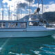 ALL DAY CHARTER