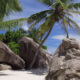 ANSE GEORGETTE CHARTER (PTY) LTD