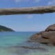 Anse kerlan Chicken Farm