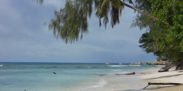BAREFOOT WEDDING (SEYCHELLES) barefoot wedding seychelles 768x384