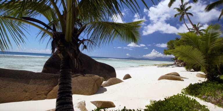 Belle vacance belle vacance 768x384