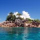 Birding Seychelles