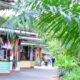 BLISS HOTEL LTD