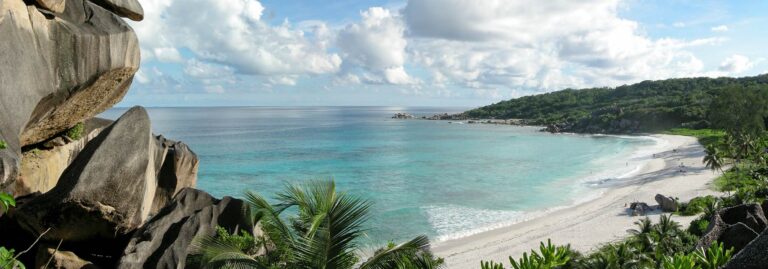 Coconut Climb Self Catering coconut climb self catering 768x269
