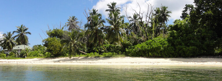 DISCOVER N LEISURE (PROPRIEATRY) LIMITED discover n leisure proprieatry limited 768x280
