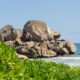 DIVING CRUISE (SEYCHELLES) LIMITED