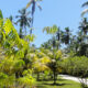 Dolce Vita Seychelles