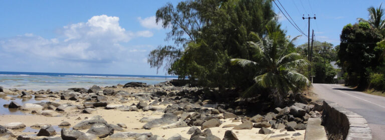 Driftwood Self Catering driftwood self catering 768x280