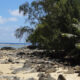 Driftwood Self Catering