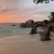 Eco Lodge