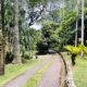 Eden Island Car Hire