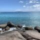 ENVIRONMENTAL EDUCATION ASSOCIATION OF SEYCHELLES (EEAS)