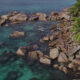 FISH-OH Seychelles