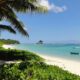 HASU (SEYCHELLES)