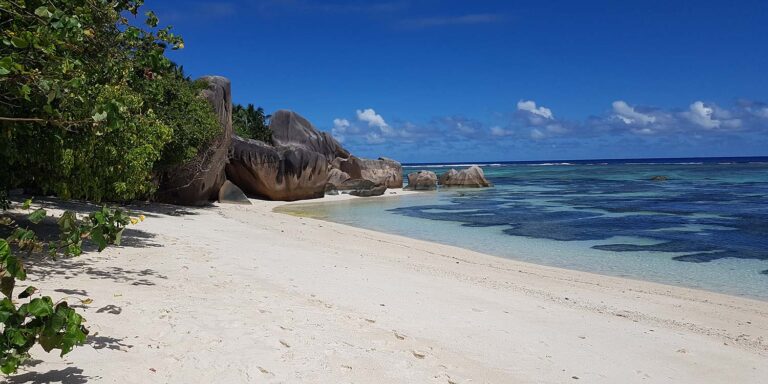 Health Professionals Council Seychelles health professionals council seychelles 768x384
