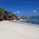 Health Professionals Council Seychelles