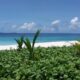 Hotel Britannia Praslin