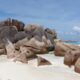 ISLAND DELIGHT PTY LIMITED