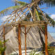 Le Jardin des Palmes