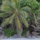Le Port Guesthouse
