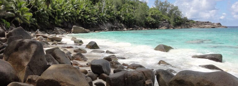 L'ILOT BEACH CHALETS lilot beach chalets 768x280