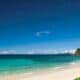 MOVE (SEYCHELLES)