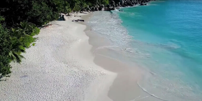 NAYOPI nayopi 768x384