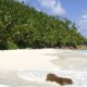 OCEAN CHARTERS PTY LTD