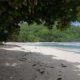 ORCHID HOLIDAYS PTY LTD