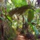 PALM IMPORT & EXPORT COMPANY LIMITE