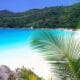 RAJIV GANDHI FOUNDATION SEYCHELLES INDIAN OCEAN CHAPTER