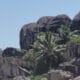 SAIL ACCOMMODATION PTY LTD