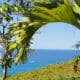 SANKEN OVERSEAS (SEYCHELLES) LIMITED
