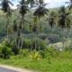 SCENIC CAR HIRE (PTY) LTD