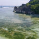 Seychelles Sea Fever Boat charters & SF Marine