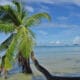 Seychelles Victoria