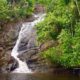 Terrestrial Restoration Action Society of Seychelles