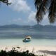 THE ASSOCIATION OF PROMOTERS OF COMPLEMENTARY HEALTH IN SEYCHELLES (APOCHIS)