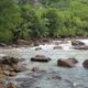 The Creative Studio Seychelles
