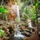 THE LIONS CLUB OF PARADISE (SEYCHELLES)