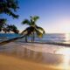 The Seychelles Islands