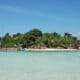 THE SEYCHELLES SCIENCE SOCIETY (CATALYST)