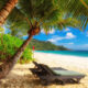 TROPICBIRD LIMITED