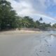 WEB (SEYCHELLES) LTD