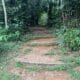 Whispering Palms Self catering