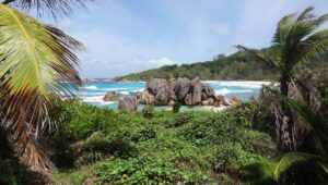Seychelles Business Register