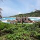 Seychelles Business Register
