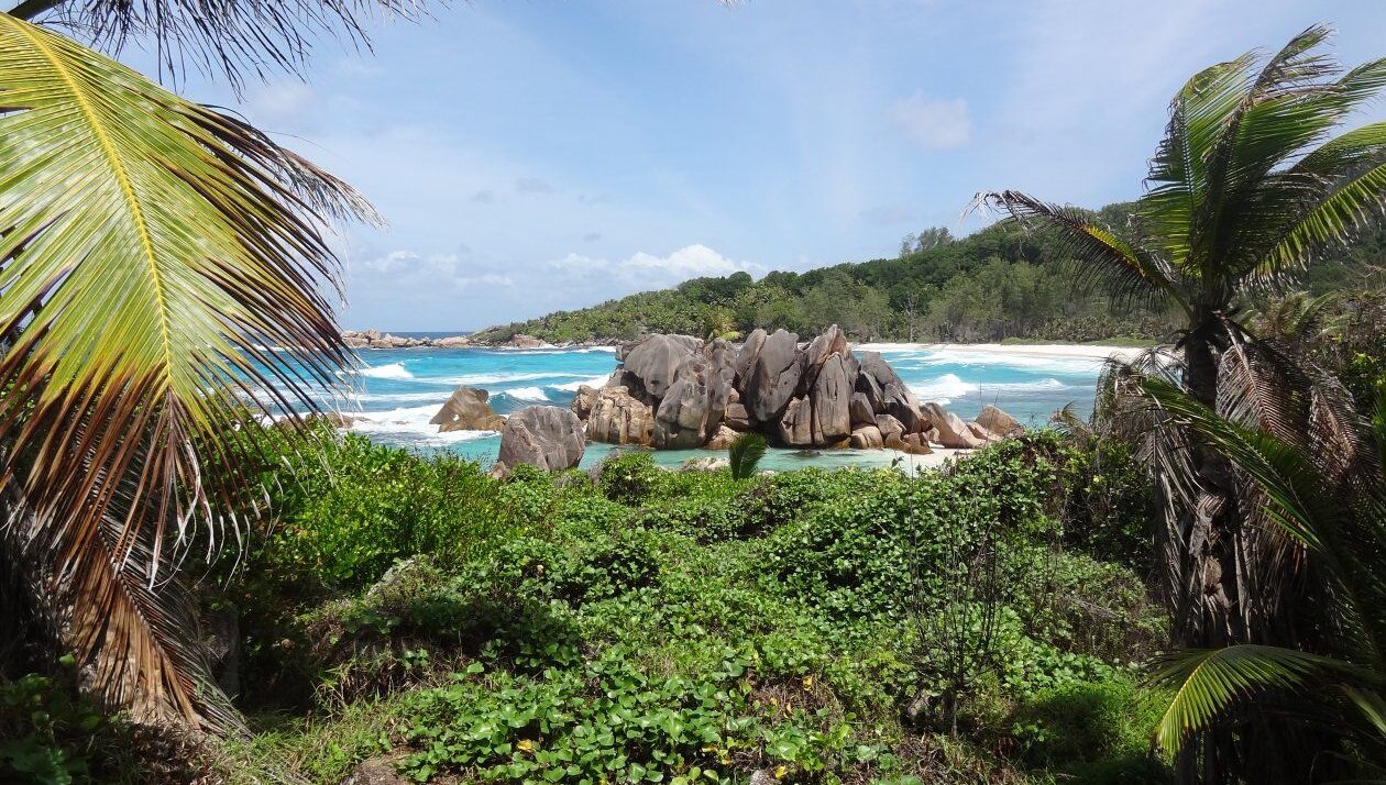 Seychelles Business Register