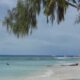 MWbrand Indian Ocean Tuna Ltd.Seychelles